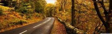 Autumn Road Ultra HD Desktop Background Wallpaper For 4k UHD Tv