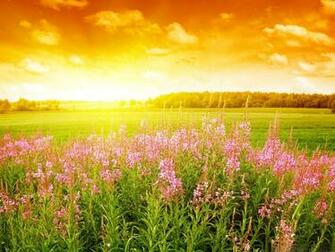 Wallpaper Fair Summer Season Best Quality Screen