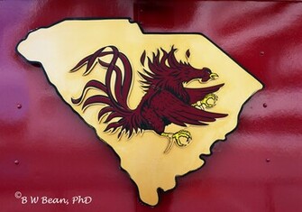 South Carolina Football Wallpaper Background Image