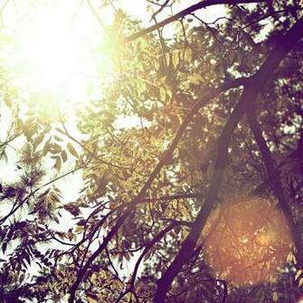 Delightful Wallpaper For iPad Mini With Retina Display It S