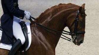 Dressage Wallpaper