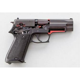 Sig Sauer P220 Sa Pistol