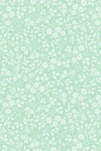 Mint Colored Wallpaper Pip