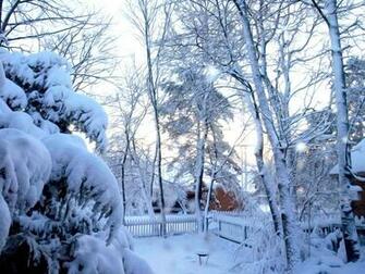 Nature Desktop Wallpaper Winter