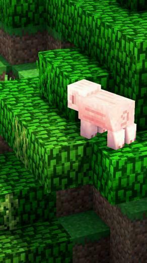 HD Minecraft Mobile Phone Wallpaper Steve Creeper