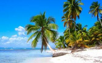 These High Res Caribbean Wallpaper Background