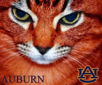 Auburn Tigers University Official Athletic Site Football