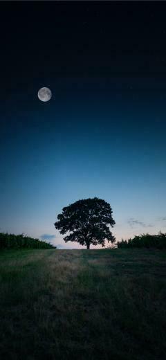 Best Moon iPhone Wallpaper HD
