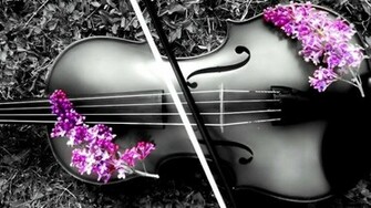 Violin 1080p Wallpaper High Definition Quality Widescreen
