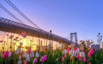 New York Wallpaper Best