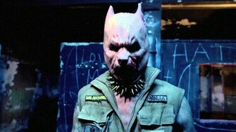 Die Antwoord Pitbull Terrier Faygoluvers