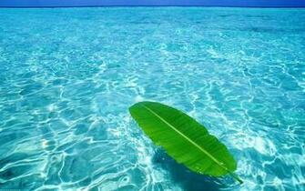 Pictures Blue Ocean Wallpaper 3d Graphics