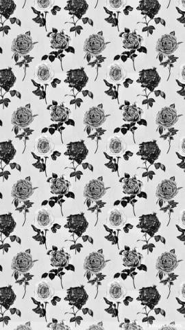 Black And White Roses iPhone Wallpaper Floral Desktop