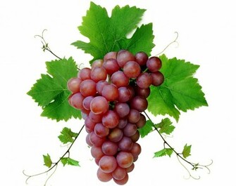 Explore The Collection Fruits Food Grapes