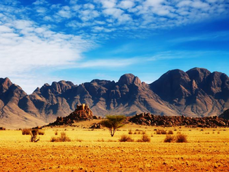 Away Half Our Justice System Spring Desert Wallpaper Inkbluesky