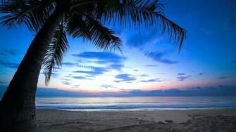 Beautiful Sunset Scenery Success