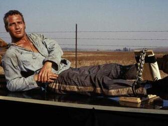 Cool Hand Luke Gorgeous Desktop Wallpaper Background From Movie