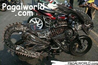 Fun Quotes On Pagalworld Gripgitar
