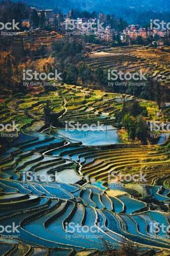 Yuanyang Rice Terrace Field During Afternoon From Top Angle