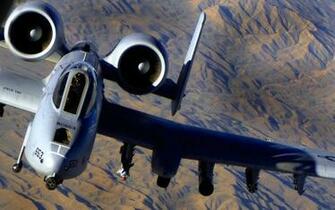 958394 Warthog Jpg