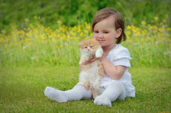 Adorable Baby And Kitten HD Wallpaper