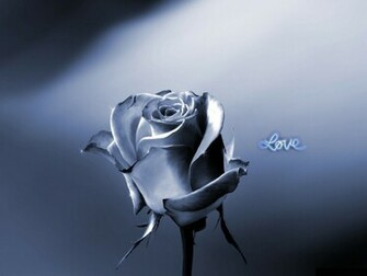 Love Rose Flower Friendship Wallpaper World