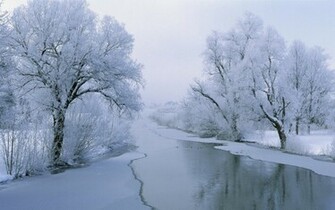 Nice Winter Wallpaper Background