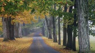 Nature Paysage Du Kentucky Louisville Wallpaper