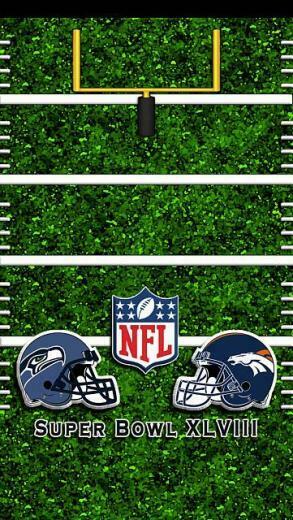 Super Bowl Xlviii I5superbowl Field 2014 Jpg
