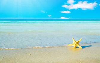 Summer HD Wallpaper