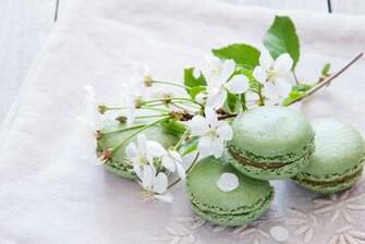 Macaron Computer Wallpaper Desktop Background Id