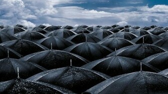 Rain HD Wallpaper High Definition Quality