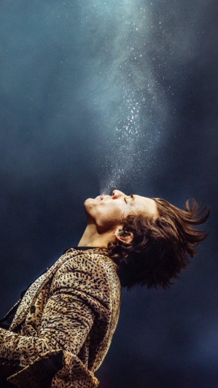 Harry Styles Golden Wallpaper