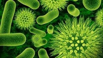 Biology Wallpaper Background Umad