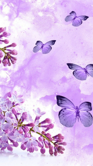 Cute Flower Wallpaper For Mobile Android Best HD