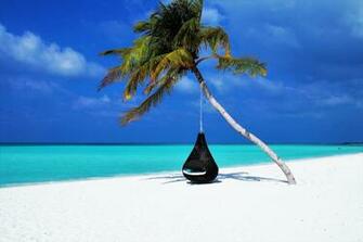 Wallpaper Maldives Palm Beach Relax Rest