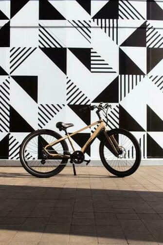 Pace Ebike Cool Bikes Fast