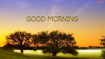 Top Good Morning HD New Wallpaper Amazing Photo Stock