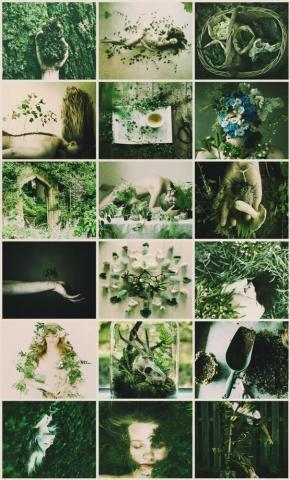 Gardener Witch Aesthetic Garden