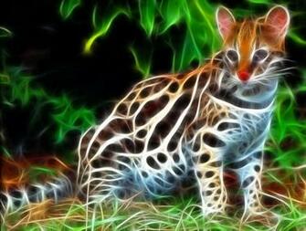 Wallpaper Ocelot Background