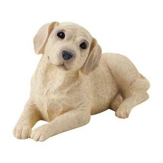 Pin Yellow Labrador Retriever Puppy Autumn HD Desktop Wallpaper
