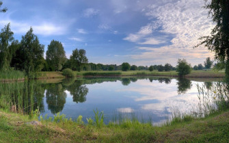 Lake With Trees Reflection Wallpaper