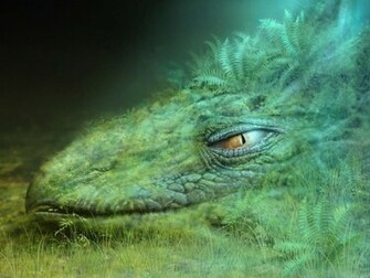 Dragon Head Wallpaper Customity
