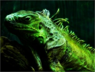 Iguana Fractal Wallpaper By Pimart