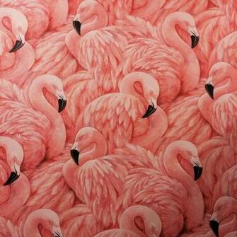 Pink Flamingo Wallpaper