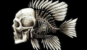 Skulls Humor Fish Artwork Charles Darwin Bones Seaman Wallpaper