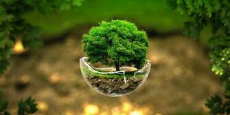 Green Nature Trees HD