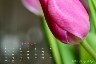 Shirley Behind The Lens March Desktop Calendar