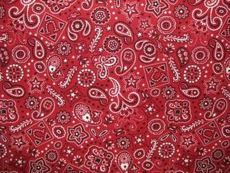 Red Paisley Bandana Giddy Up Cotton Fabric