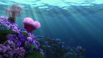 Finding Nemo Wallpaper HD Net